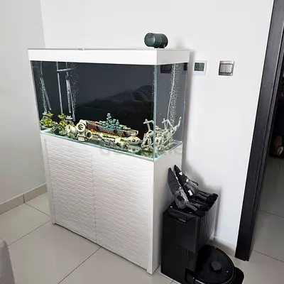 Fresh-water aquarium for sale