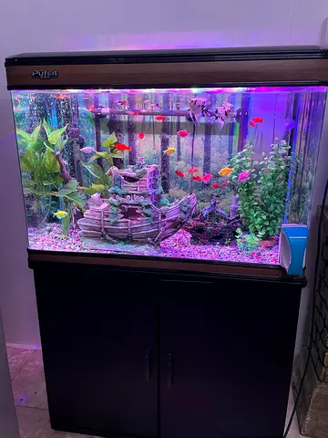 . Capacity: 120 liters

. Included: aquarium with hood and LED light,

. stand/cabinet, external can