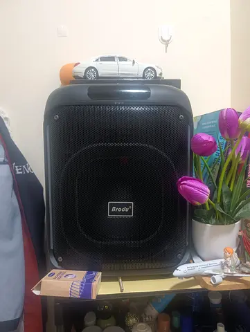 Portable Brodu Bluetooth Speaker - Good Condition with microphone