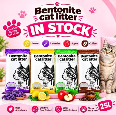 PREMIUM BENTONITE CAT LITTER - 20KG