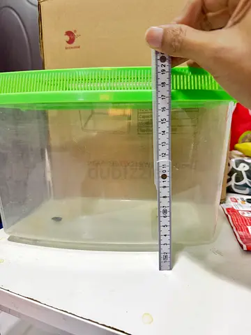 Used small plastic aquarium/bug terrarium with green vented lid - ~18cm height