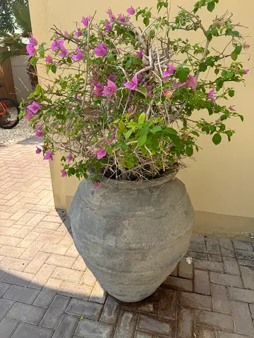 Tall rustic garden pot 85 cm high