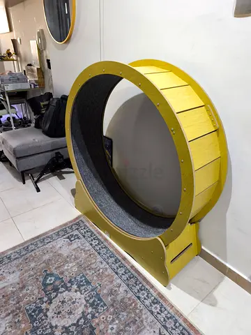 Cat wheel