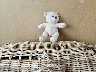 Small beige plush teddy bear - gently used
