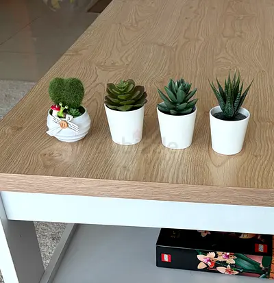 Set of 4 tiny Artificial Succulents in White Pots - Perfect for Table Decor