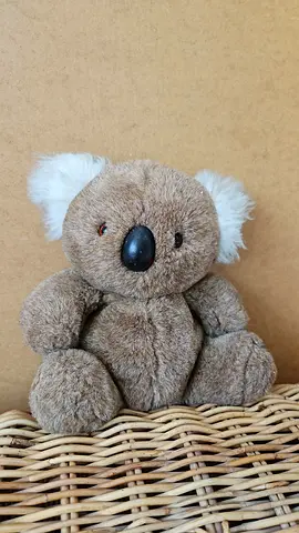 Small Brown Plush Koala Soft Toy - excellent fur condition.