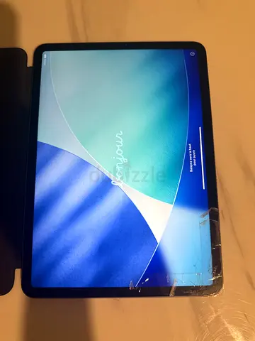 iPad 11 Pro with cracked screen - used, working display and body