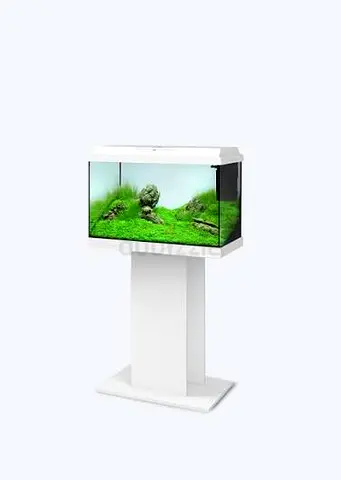 Juwel 60 Primo White Aquarium