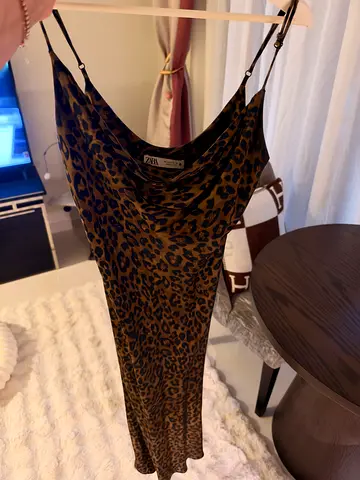 Zara dress