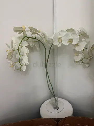Tall white orchid floor vase with stem