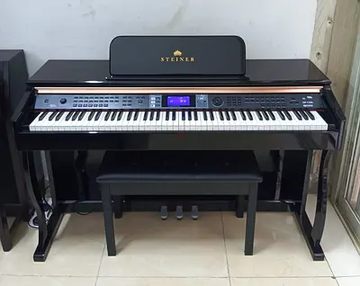 The Steiner DP-1200 is a popular 88-key weighted digital piano