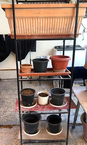Metal plant stand with multiple shelves — indoor/outdoor pot rack