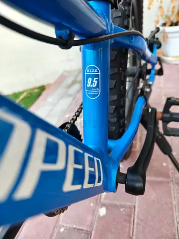 Sunpeed Blue 20-inch Pedal Bike — Good Condition, Size 9.5 (slightly negotiable).