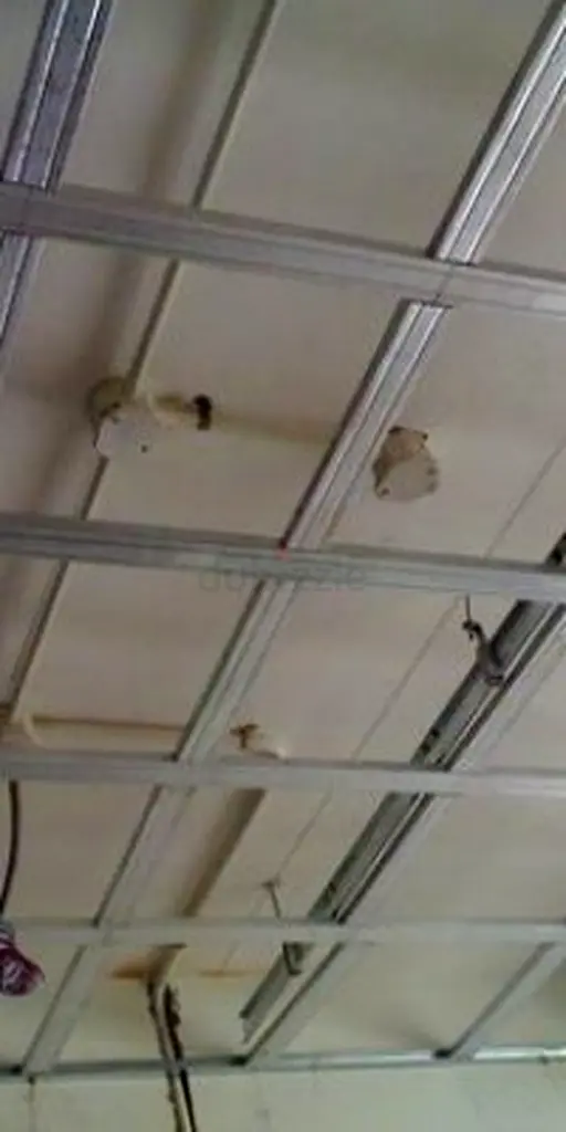 DPV_View_Image_3