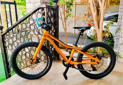 Scott Roxter Brand 20" Kids Mountain Bike