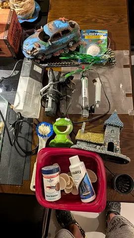 Aquarium Setup with All Accessories & Decor