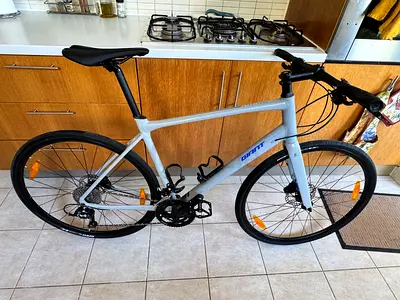 GIANT Fastroad hybrid urban bike