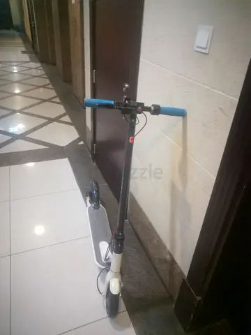 Electric scooter crony