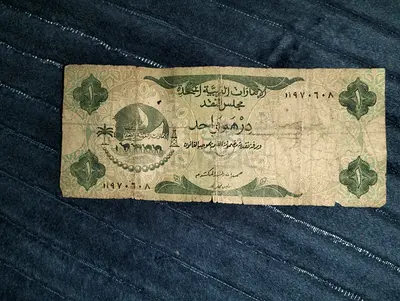 40شارع الظفيره بني ياس شرق 11