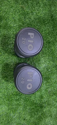 20kg dumbells