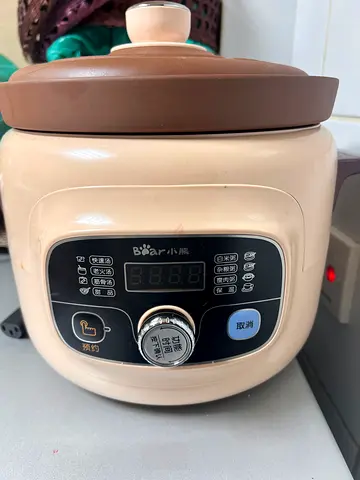 Bear Electric Multi-Cooker / Slow Cooker - Compact, Used