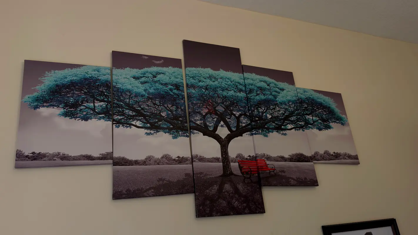 gallery-image