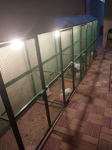Beautiful cage 4 parts saprate