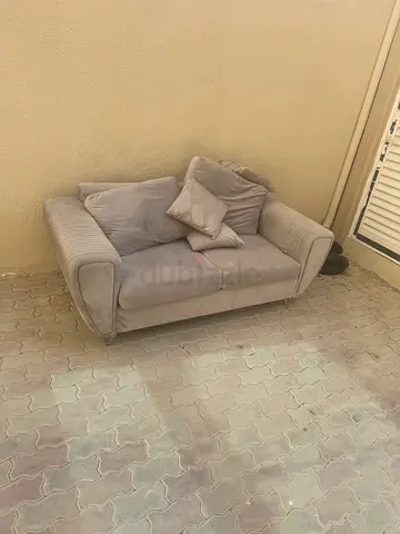 free in shalbout