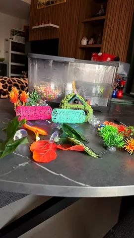 Small Fish Tank with Decorative Plants and Ornaments - Good Condition