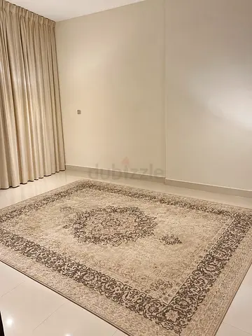 Large Neutral Traditional Area Rug — Good Condition