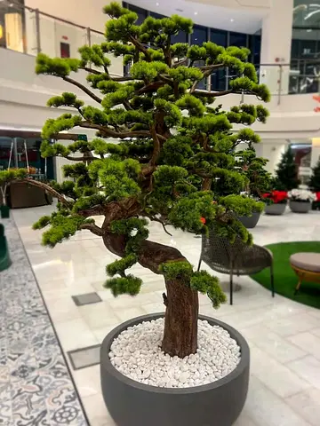 Artificial Bonsai Tree 215×155 cm – No Watering Needed, UAE Delivery