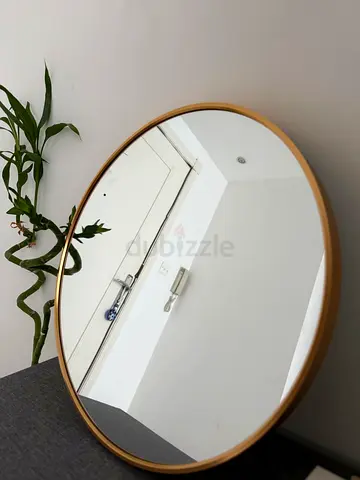 Mirror - Never used