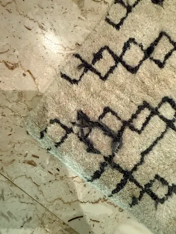 Light beige $%&! rug with geometric black pattern — good condition