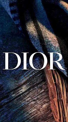 Dior credit note discount sale