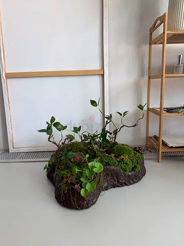 FOREST MEMORY, 47 x 26 cm