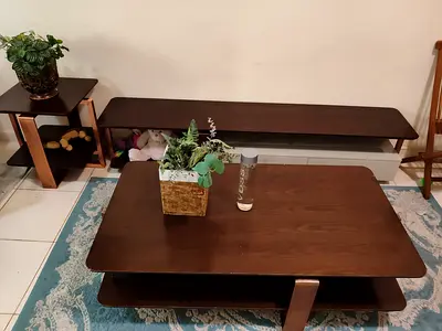 Long low-profile wooden TV console / media unit