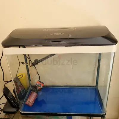 Glass Fish Tank / Aquarium with Hood and Light