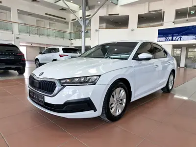 2023 Skoda Octavia Ambition GCC Specs