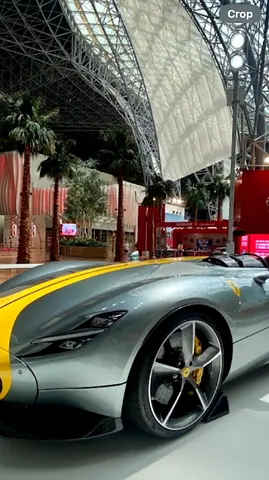 Single ticket for car show/exhibition (entrance)