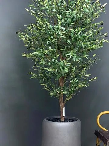 Artificial Olive Tree 180×90 cm – No Watering Needed, UAE Delivery