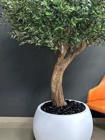 Stunning Olive Tree with Realistic Olives 250 cm – Artificial