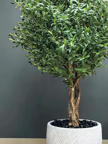 Stunning Olive Tree with Realistic Olives 200 cm – Artificial