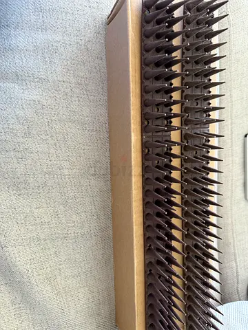 Bird spikes  New