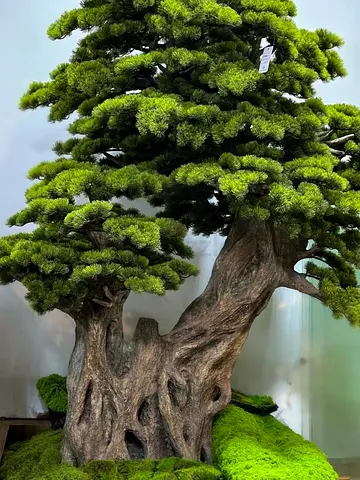 Artificial Bonsai Tree 220×190 cm – No Watering Needed, UAE Delivery