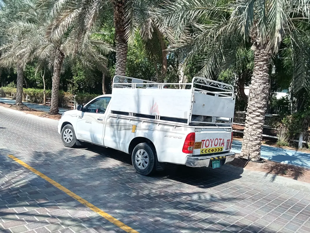 DPV_View_Image_0