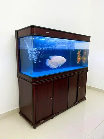 Large Wooden Aquarium with Cabinet