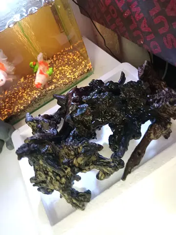 For fish tank