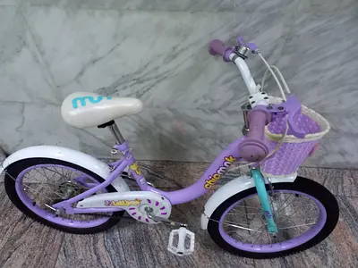 Kids' 16-inch Bicycle with Front Basket — Lightly Used
