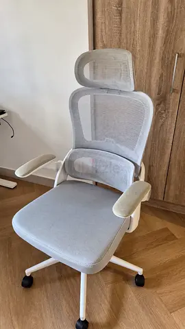Ergonomic Mesh Office Chair with Headrest - Light Grey