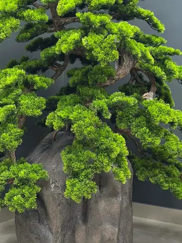 Artificial Bonsai Tree 170×150 cm – No Watering Needed, UAE Delivery